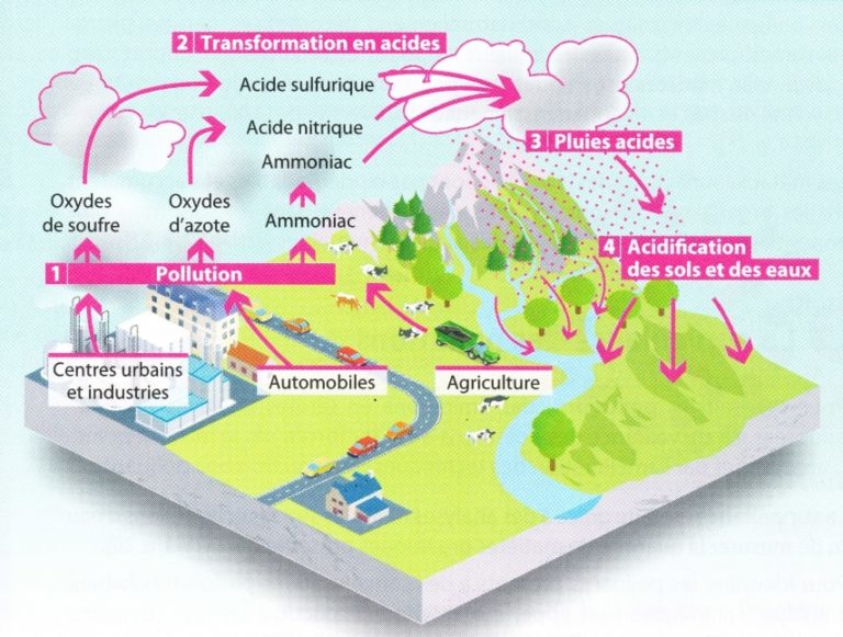 Traiter Leau De Pluie Pour La Rendre Potable Guide